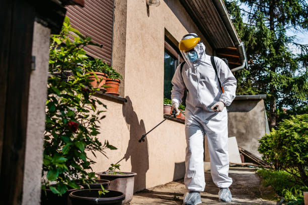 Best Bed Bug Extermination  in Cottonwood, AZ
