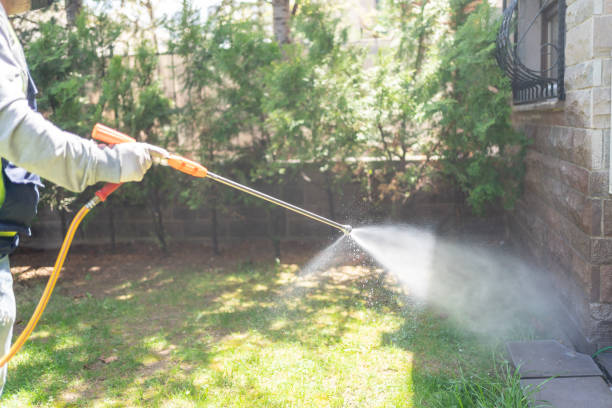 Best Local Pest Control Services  in Cottonwood, AZ