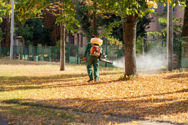 Best Flea Control Services  in Cottonwood, AZ