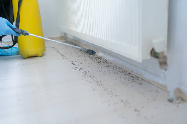 Best Commercial Pest Control Services  in Cottonwood, AZ